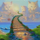 Hinter dem Regenbogen