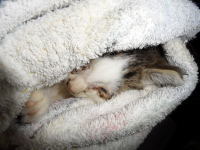 gallery/07_kein_name_01